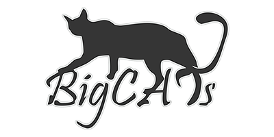 BigCats_pl logo
